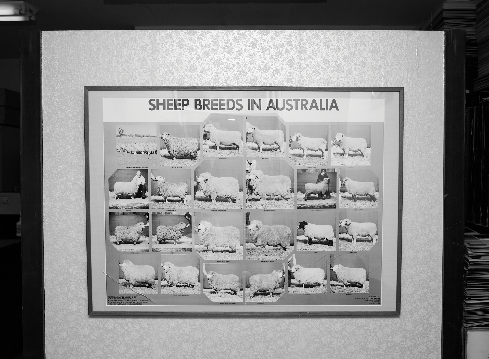 High quality Japanese fabric - Katori natural fiber textiles